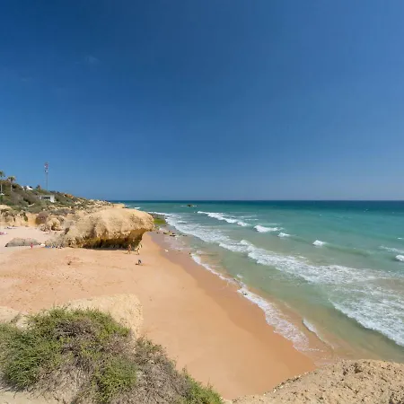 Colibri By Interhome Patroves